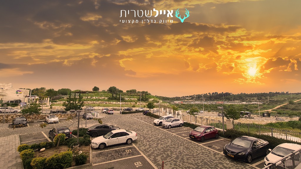 מפעל הפורמטים20