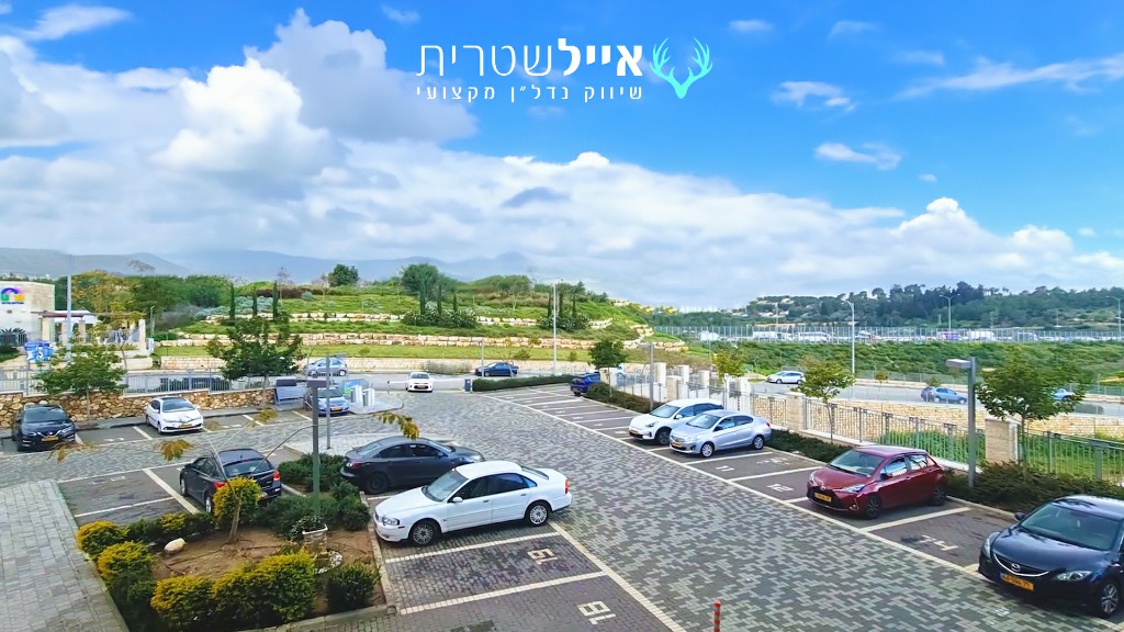 גפן 5 - רונן (1)